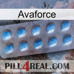 Avaforce viagra3